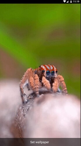 Ek%20A%C3%A7%C4%B1klama%202019-04-04%20111918