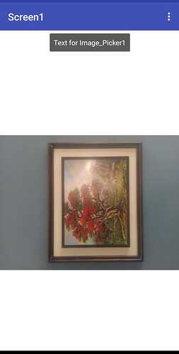 WhatsApp Image 2021-08-31 at 11.30.13