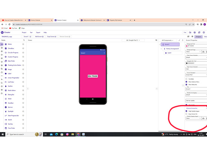 not showing project name