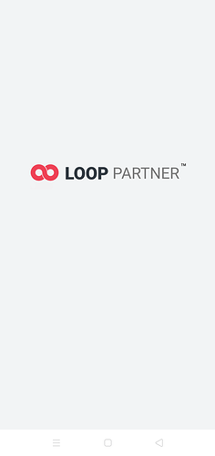 loop partner 3