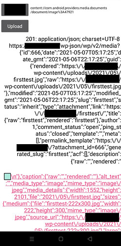 1st-Success-Upload