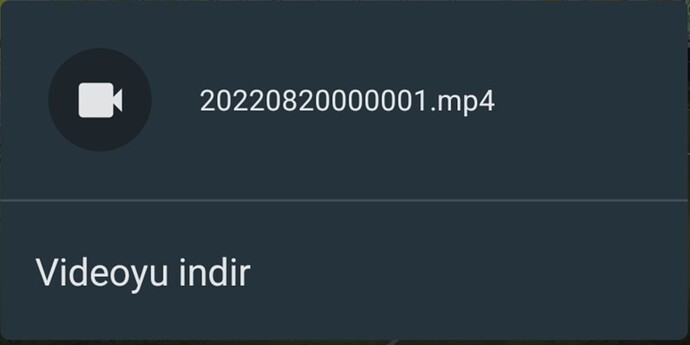Screenshot_20220821-024121_Chrome