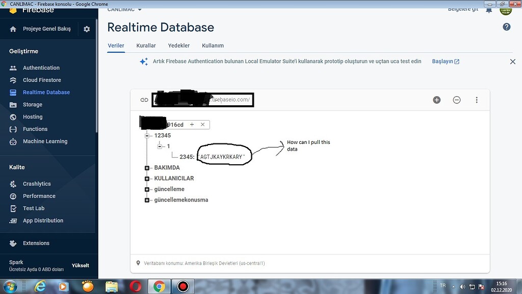 How can I pull this data from Firebase - Discuss - Kodular Community