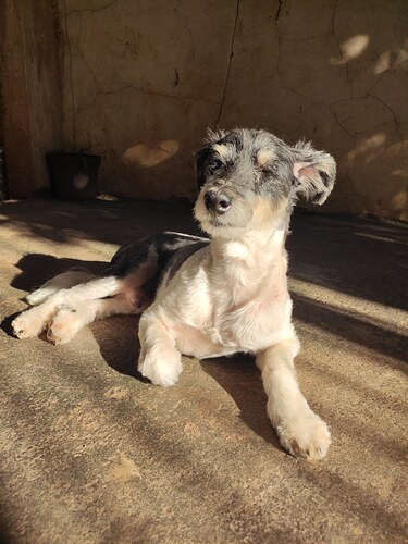 WhatsApp Image 2021-10-29 at 10.54.19