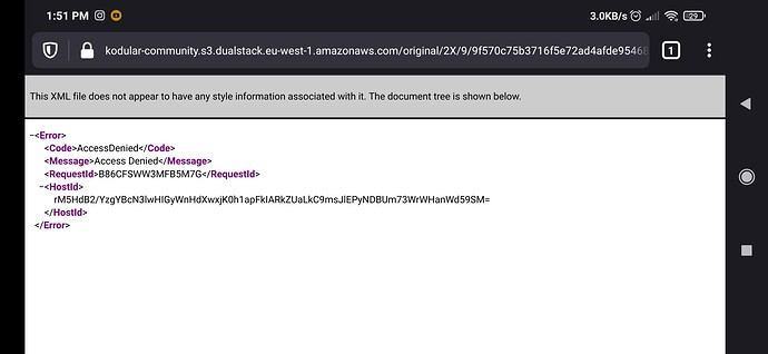 Screenshot_2021-03-26-13-51-13-030_org.mozilla.firefox