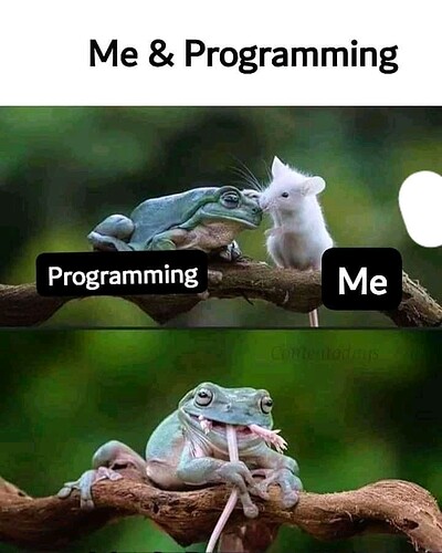 FB_IMG_15931079302517583