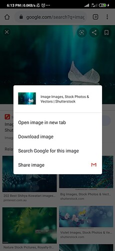 Screenshot_2020-05-10-18-13-45-027_com.android.chrome