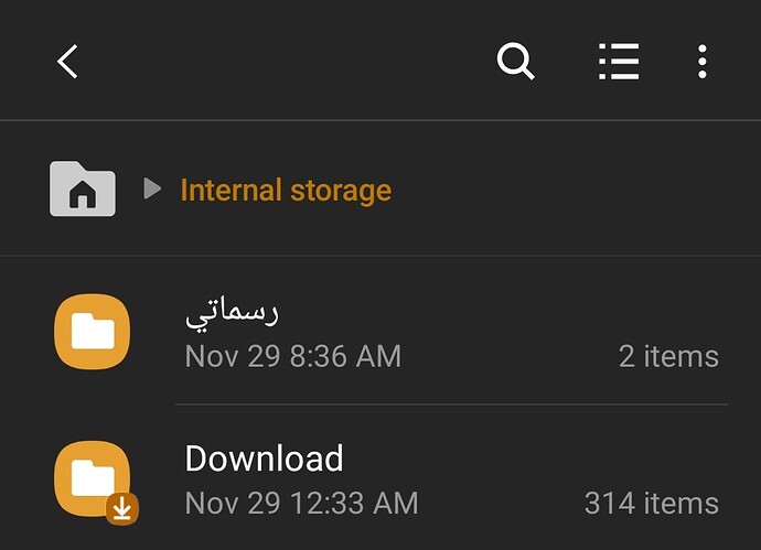 Screenshot_20191129-083658_My%20Files