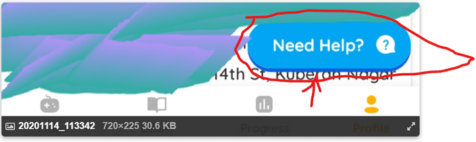 Screenshot 2020-11-14 120928