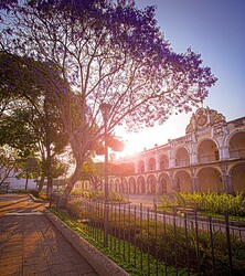 IMG_20200525_085910