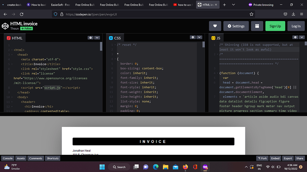How to load HTML CSS AND JAVASCRIPT in CustomWebView Extension or Any ...