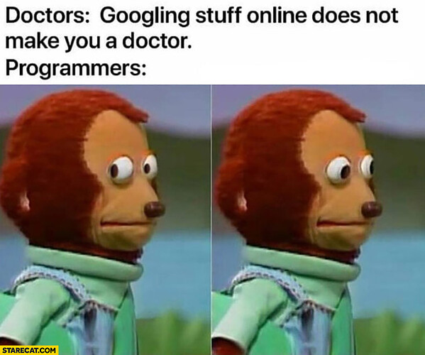 doctors-googling-stuff-online-does-not-make-you-a-doctor-programmers-confused
