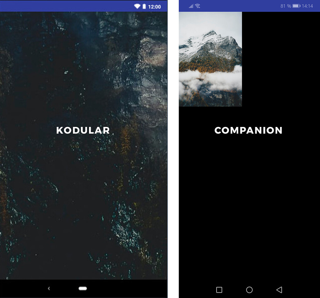 Live companion don't show like Kodular Creator - Discuss - Kodular ...