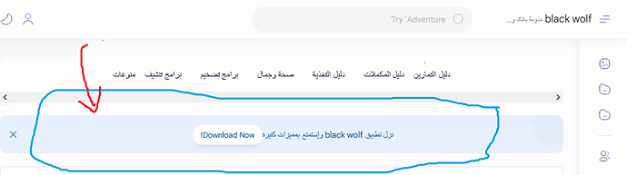 Screenshot 2023-06-29 at 16-03-48 black wolf