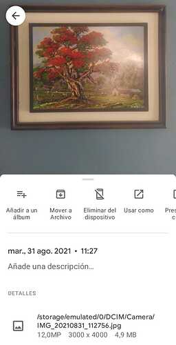 WhatsApp Image 2021-08-31 at 11.29.50