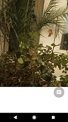 Screenshot_20210726-001803