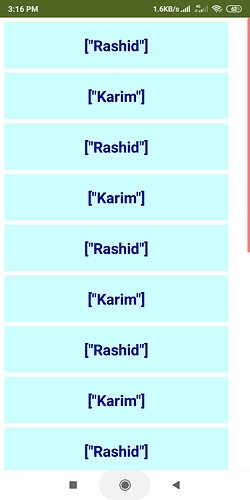 A screenshot of a mobile app interface displaying a list where the names 'Rashid' and 'Karim' alternate repeatedly in square brackets against a light blue background. (Captioned by AI)