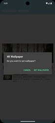 A smartphone screen displays a confirmation dialog box asking the user to set a 4K image as wallpaper, with options to cancel or set wallpaper. (Captioned by AI)