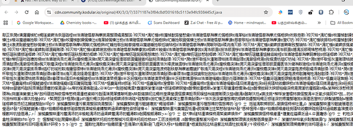 A screenshot of a computer screen displaying a web browser with multiple tabs open, showing a webpage with extensive Chinese text covering the entire visible area. (Captioned by AI)