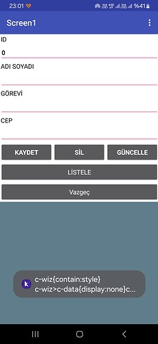 Screenshot_20240728_230130