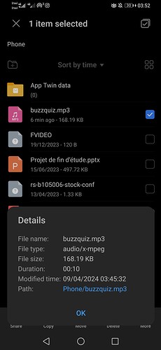 Screenshot_20240409_035206_com.huawei.hidisk