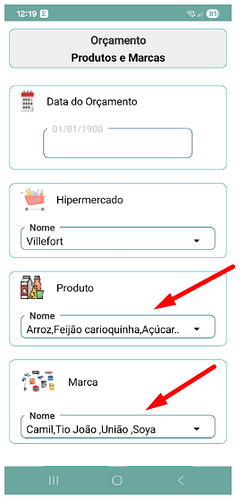 This image shows a mobile app screen for budgeting with fields to enter the budget date, supermarket name, product details, and brand selection, highlighted by two red arrows pointing to the product and brand dropdown menus. (Captioned by AI)