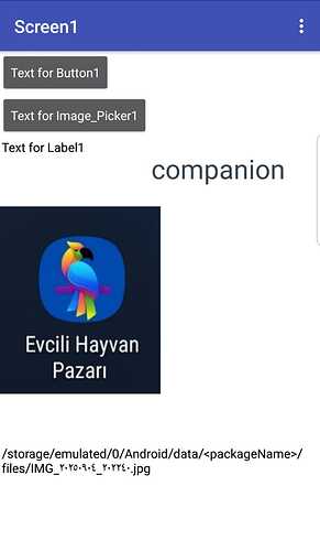 WhatsApp Image 2025-09-04 at 20.43.19_cb3fd3cc