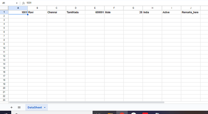 A spreadsheet displaying a single row of data with columns for ID, name, city, state, postal code, gender, age, country, status, and remarks, showing information for a person named Ravi from Chennai, Tamil Nadu, India. (Captioned by AI)