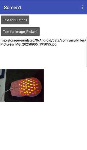 IMG-20250905-WA0003