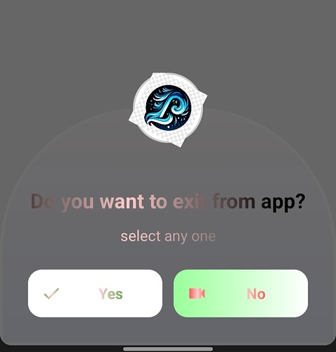 A user interface prompt asking if the user wants to exit the app, with options to select Yes or No. (Captioned by AI)