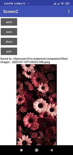A mobile app screen displaying four buttons labeled 'send,' 'save,' 'show,' and 'pick,' with a saved image of pink and red flowers below them. (Captioned by AI)