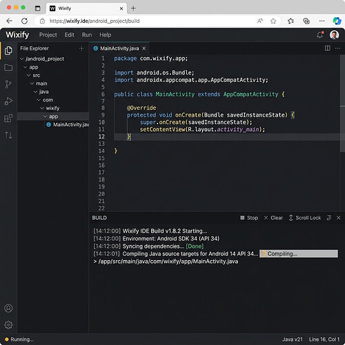 Active Compile Output