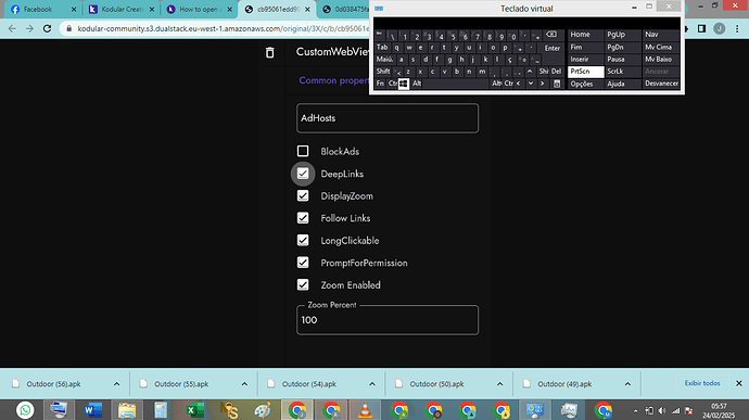 Captura de Tela (209)