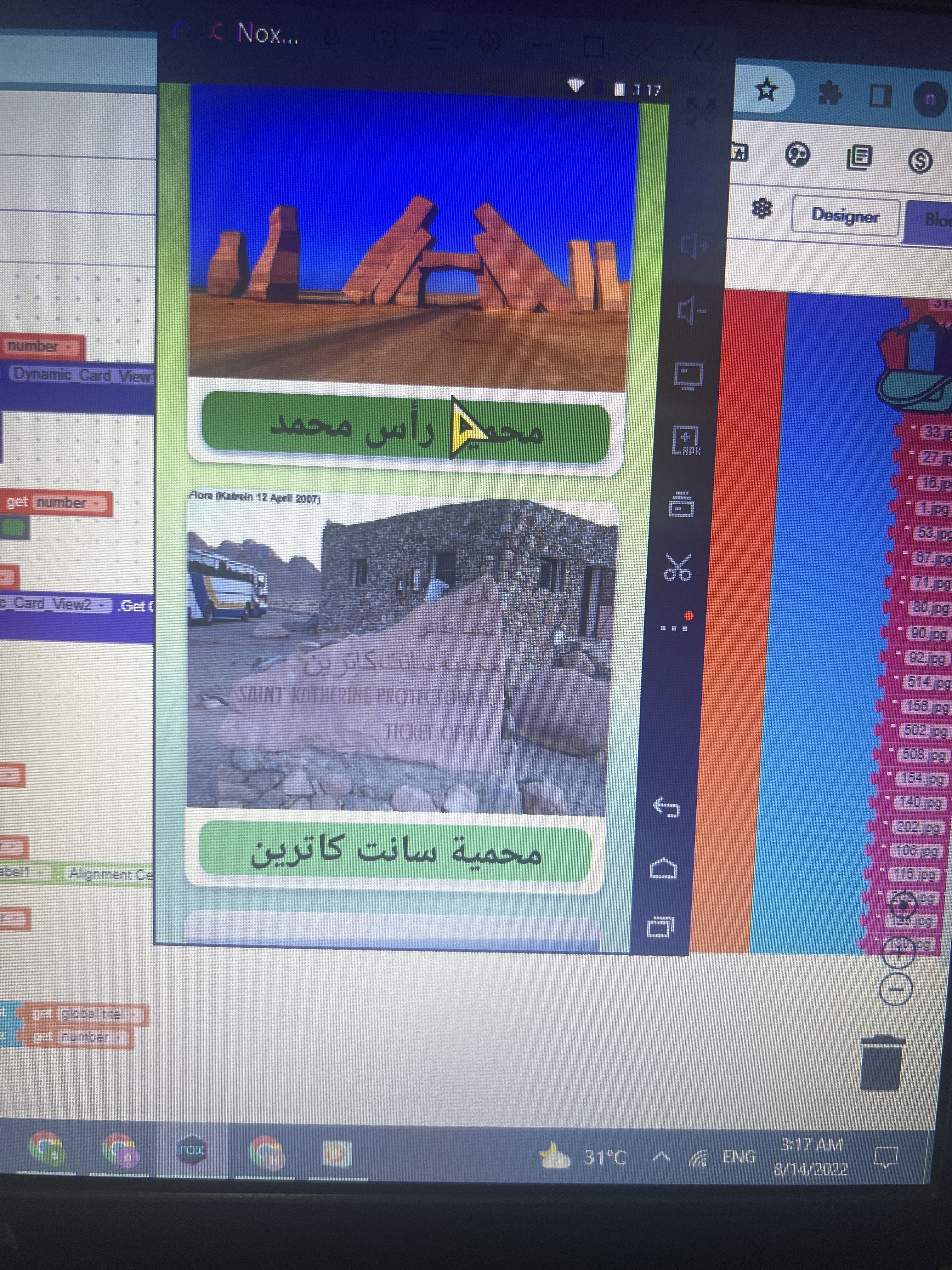 I want to do gallery each card in dynamic card view - Discuss - Kodular ...