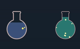 screenshot2