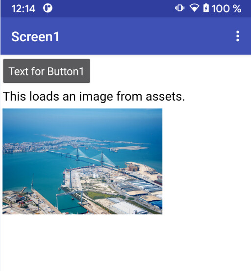 Images not open properly in web view - Page 2 - Discuss - Kodular Community