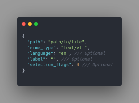 subtitle_json_sample