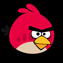 AngryCodingBird